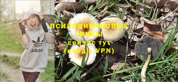 PSILOCYBIN Алзамай