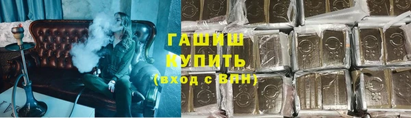 PSILOCYBIN Алзамай