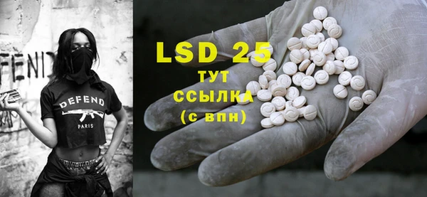 PSILOCYBIN Алзамай