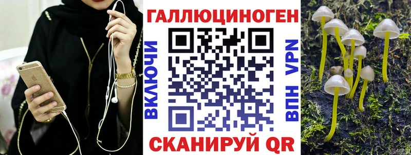 Псилоцибиновые грибы Cubensis  Купить закладки  Ядрин 